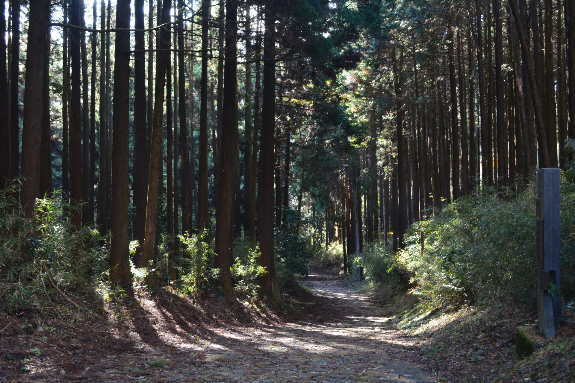 Tokaido Highway – Hakone Hachiri - Explore Shizuoka