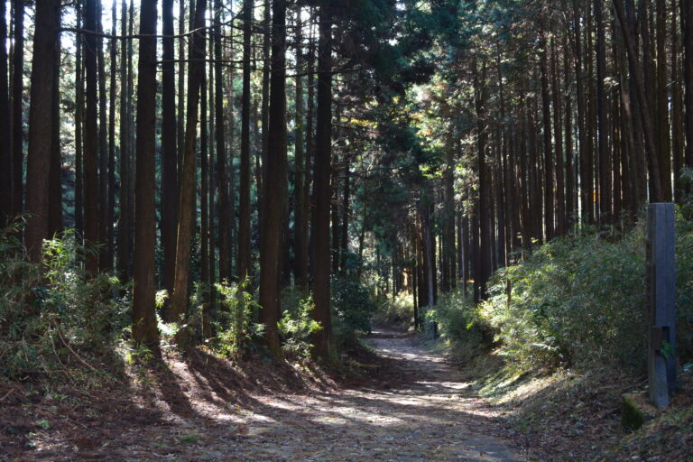 Tokaido Highway – Hakone Hachiri