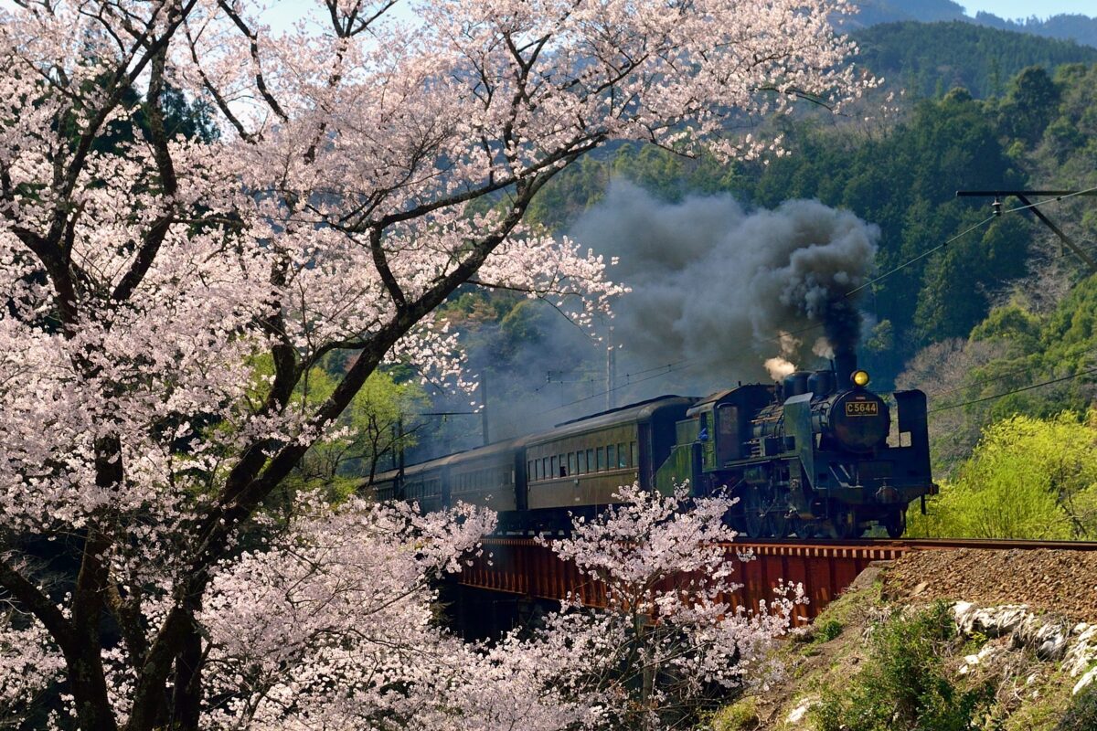 Traveling by train - Oigawa Railway