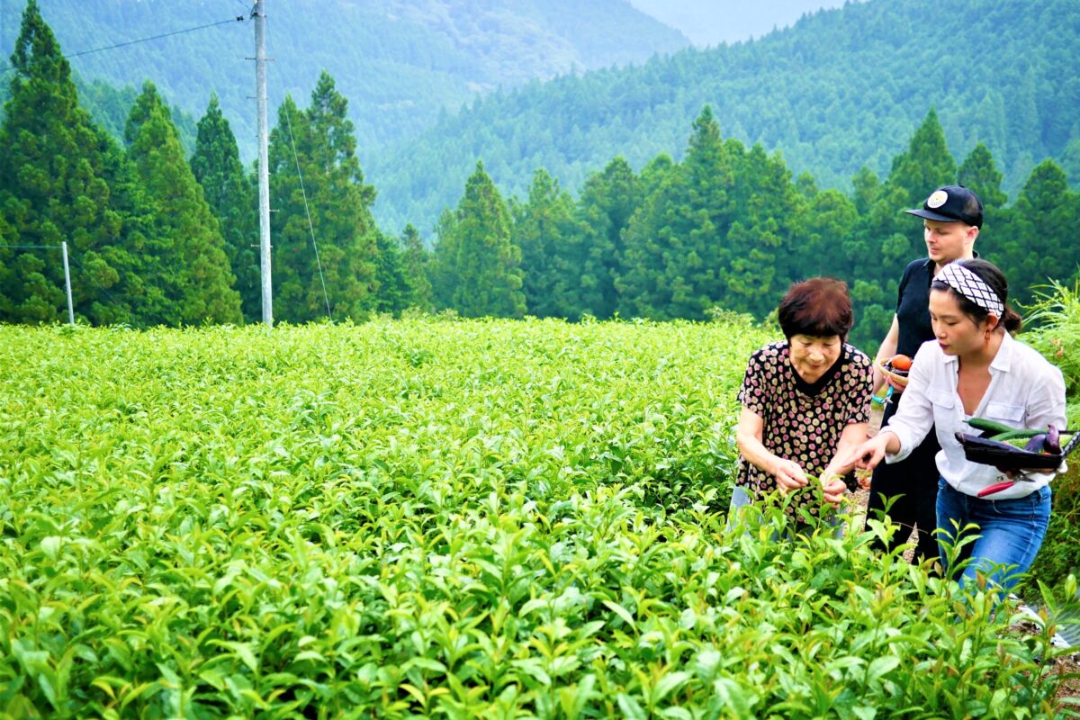 Farm to Table experience with welcoming farmers.