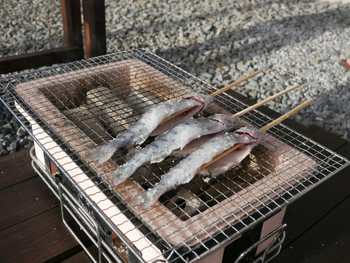 和鹽烤麻哈魚