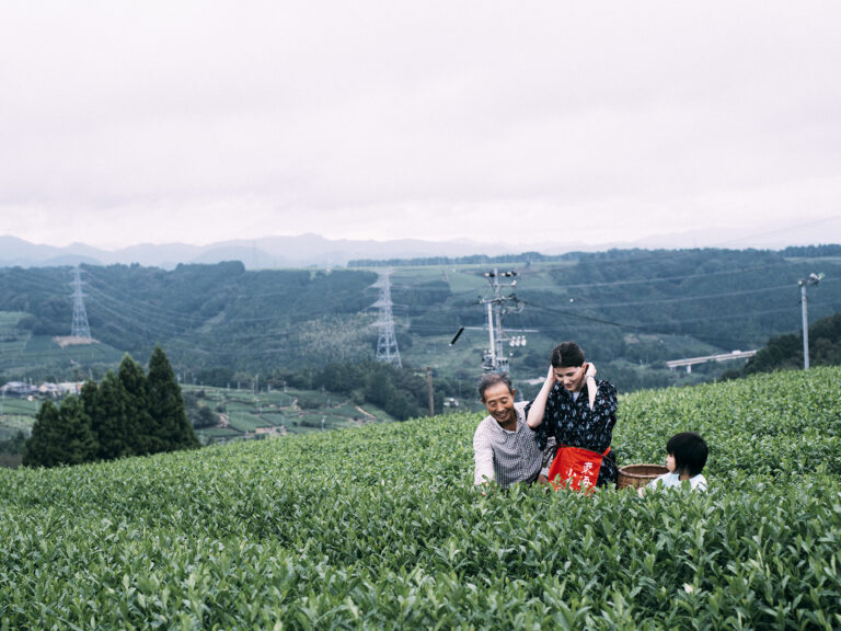 Things to Do in Shizuoka, Japan – Spend a night at a traditional Japanese farmhouse in one of the largest green tea producing areas!
