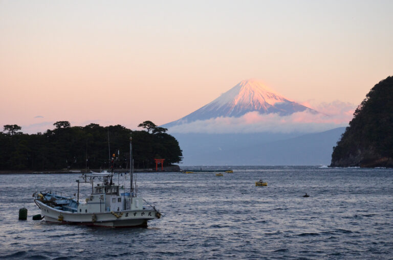 5 magical attractions in Western Izu Peninsula