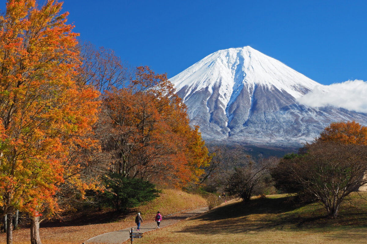 LAKE TANUKI