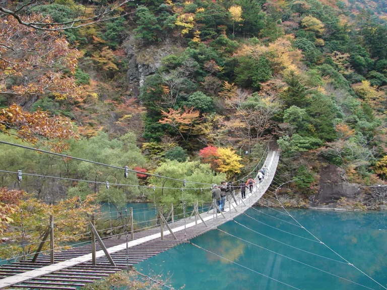 Autumn leaf viewing at the famous “Yume no Tsuribashi Suspension Bridge” in Sumatakyo, that you will want to cross before you die! 