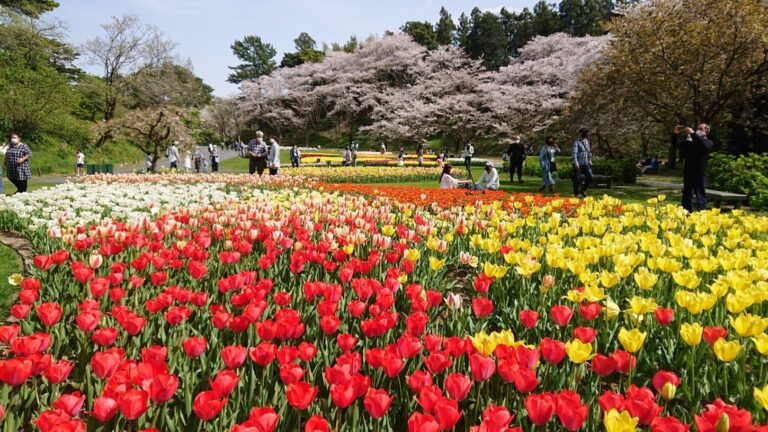 Hamamatsu Flower Park ~Enjoy a healing and inspiring experience at the theme park with flowers from around the world~