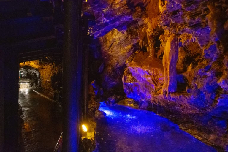 The bat show is a must-see event! The “Ryugashido Cavern” in Hamamatsu is one of the largest limestone caves in the Tokai region
