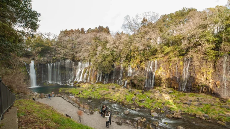 Introducing Shiraito no Taki Waterfalls, one of the most famous waterfalls in Shizuoka Prefecture, along with tips on spectacular views and nearby attractions!