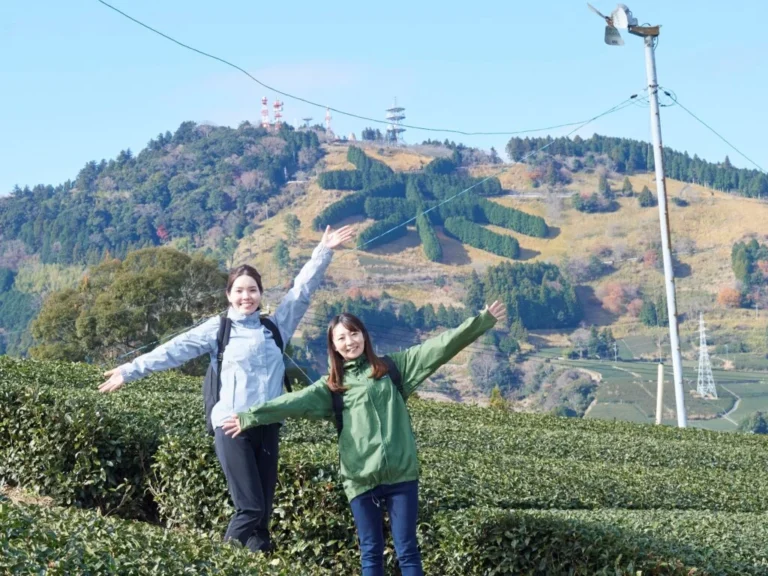 가케가와시(掛川市)/평소와 다른 자연이 풍성한 경치, 차밭이 가득한 시골 산에서 한가로이 보내는하는 시간