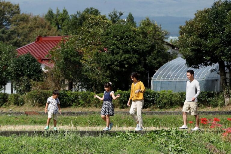 고텐바시(御殿場市) / 박력 넘치는 후지산 아래에서 맛보는 고텐바 고시히카리(ごてんばこしひかり)와 현지 메밀면