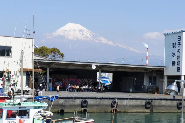 참다랑어, 벚꽃새우, 치어, 장어, 금눈돔에 닭새우까지! 갓 잡은 해산물을 만끽해보자!
