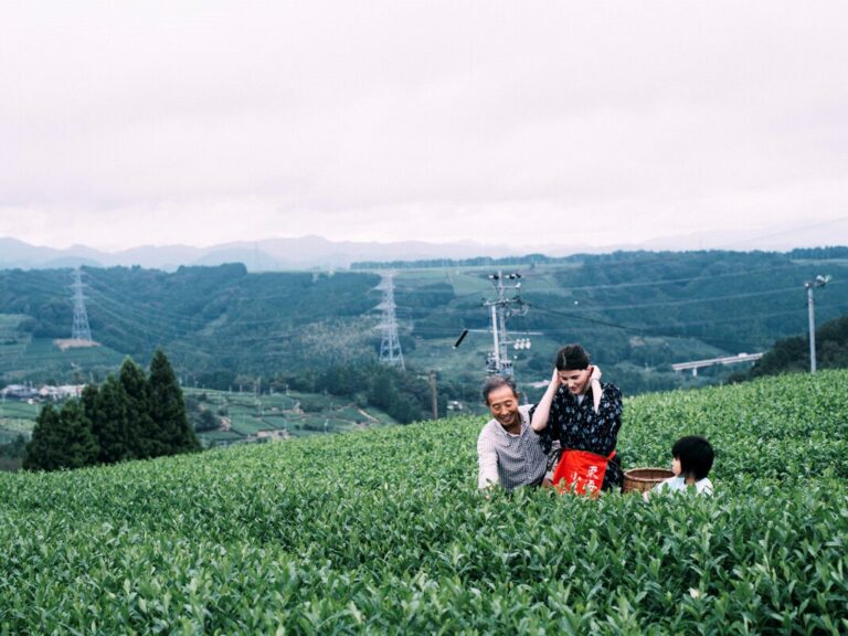 去日本静冈县旅游一定要做的事——在日本最大的绿茶产区传统农舍过一晚！