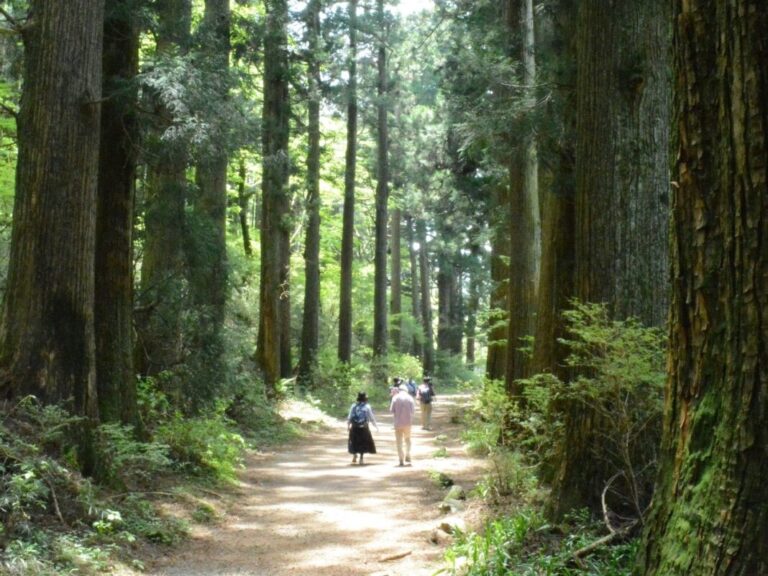 去日本静冈县旅游的理由——徒步在有500年历史的东海道，体验古代和现代的日本！