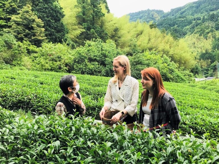 去静冈县旅行的理由——与静冈茶农一起体验绿茶活动，探索日本与大自然和谐共生的文化生活。