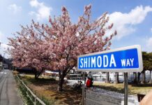 Shimoda way