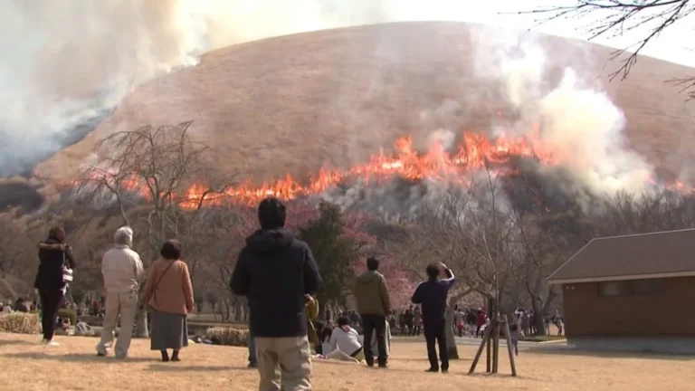 아름다운 자태가 감동적입니다! 이토시(伊東市)의 상징 오무로산(大室山)