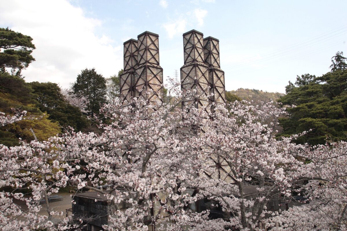 Nirayama Reverberatory Furnaces with cherry blossoms