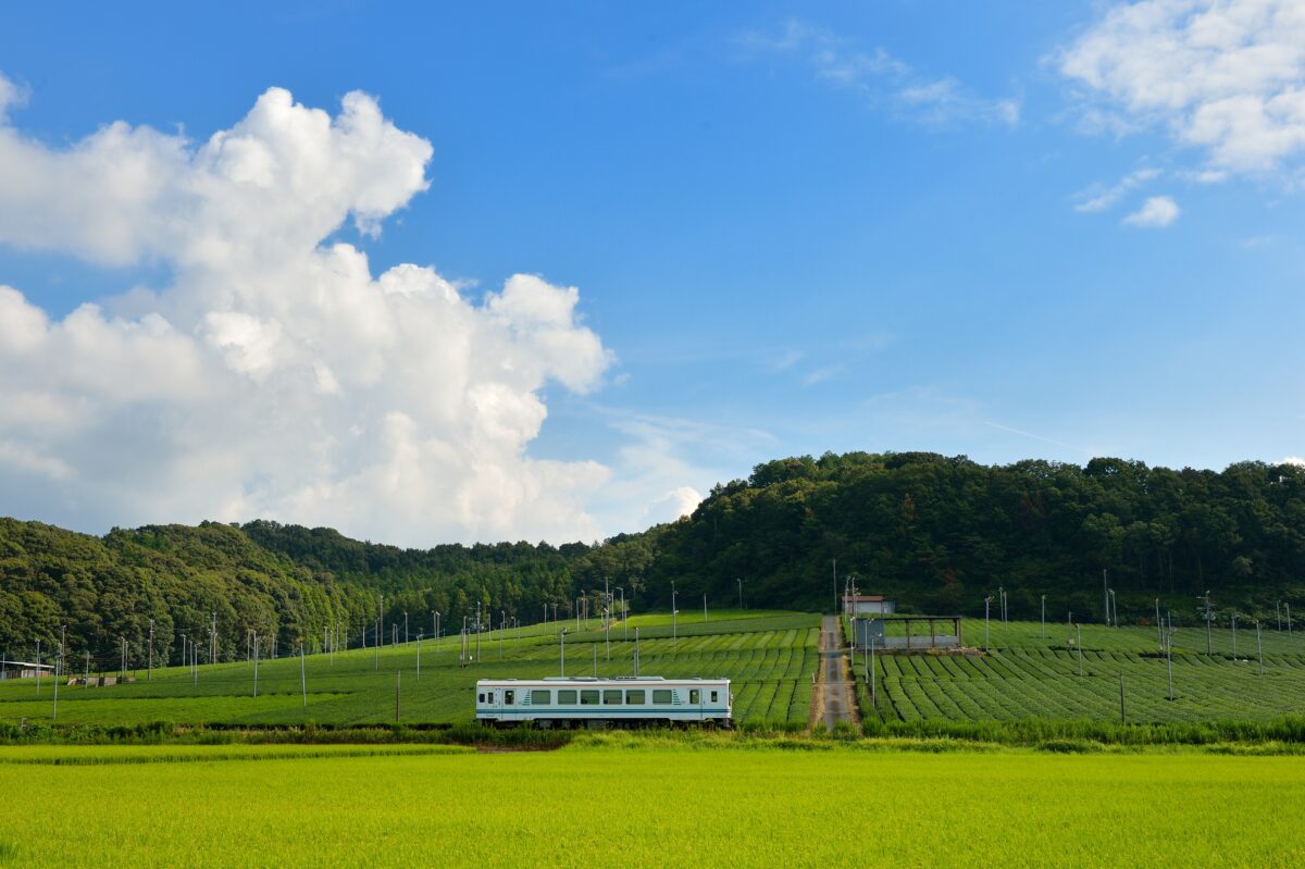 Tenhama Line Train on Tenryu Hamanako Railroad