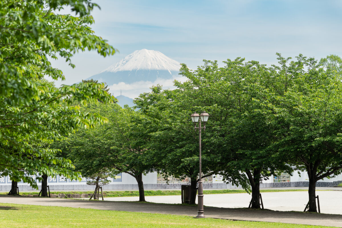 Sumpu Castle - Home to Japan's most famous Shogun - Explore Shizuoka