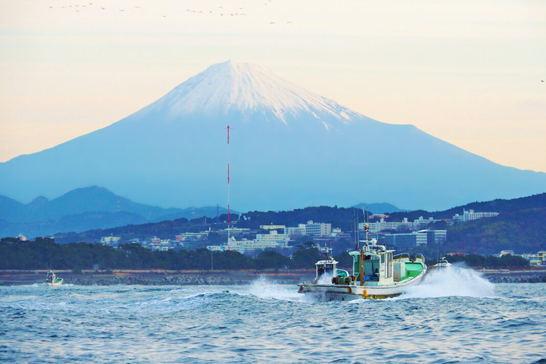 Mochimune Port Shizuoka