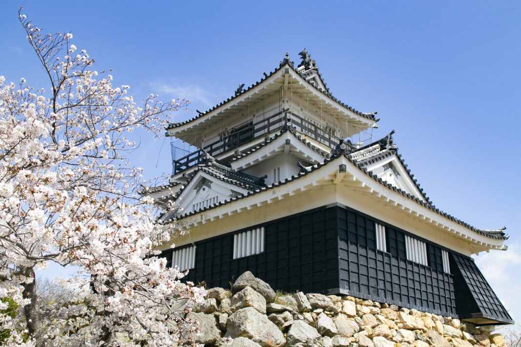 Hamamatsu Castle