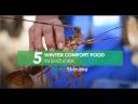 5 Winter Comfort Foods in Shizuoka