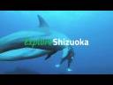 Shizuoka Summer water activities